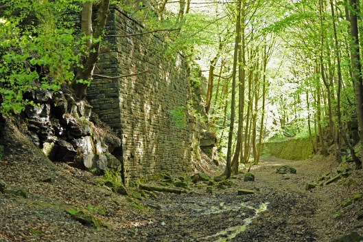 DG51699. Rishworth branch. deep cutting. 15.5.10.