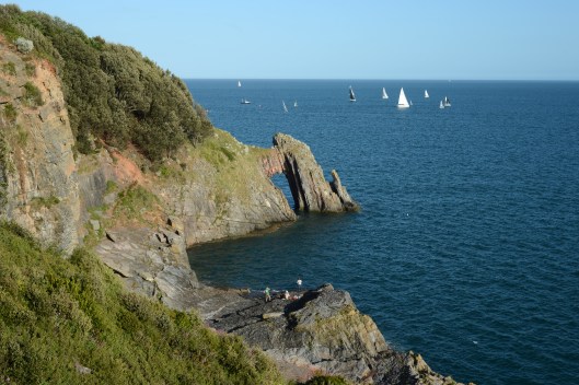 DG215228. Cliffs.Torquay. 3.6.15