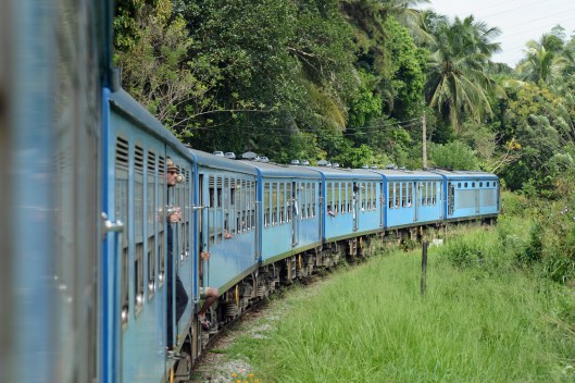DG237551. 10.35 Colombo - Kandy train. East of Balana. Sri Lanka. 12.1.16.