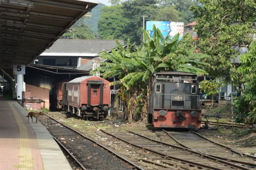 DG237645. Y 683. Kandy. Sri Lanka. 13.1.16.