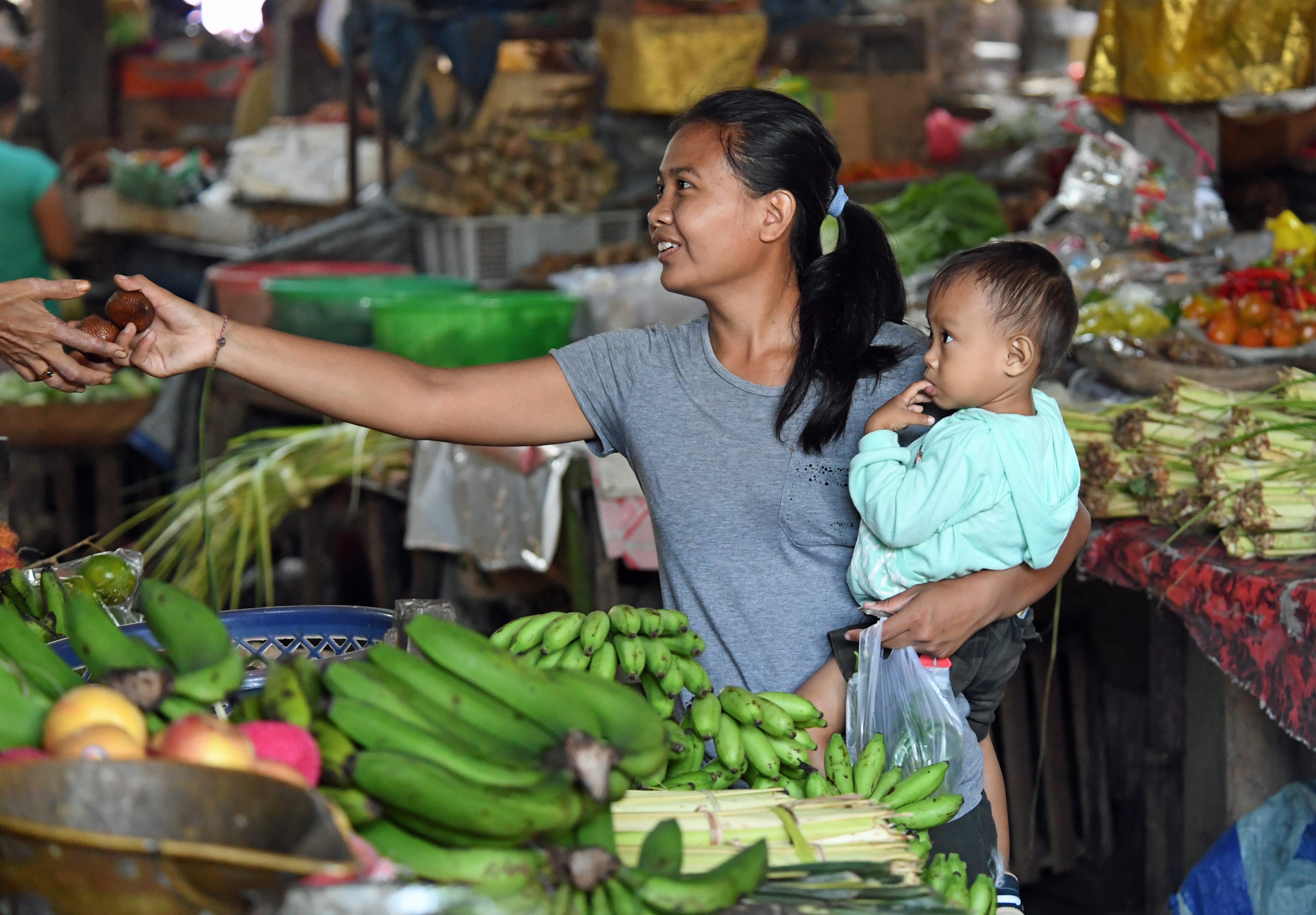 dg264443-buying-salak-fruit-at-the-local-market-pejeng-ubud-bali-indonesia-7-2-17