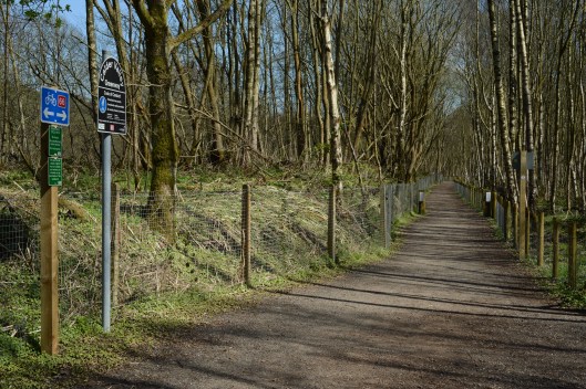 DG211557. Old coal sidings now the Calder Greenway. Mytholmroyd. 18.4.15