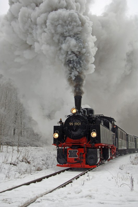 FDG05101. 99 5901. Harz railway. Germany. 10.2.07