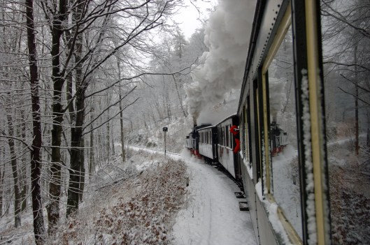 FDG05109. 99 5901. Harz railway. Germany. 10.2.07
