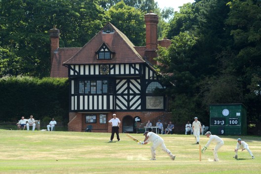 DG219537. Cricket on the green. Tilford. Surrey. 8.8.15