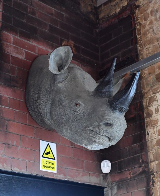 DG306012. Left luggage room pub. Monkseaton. 29.8.18 crop