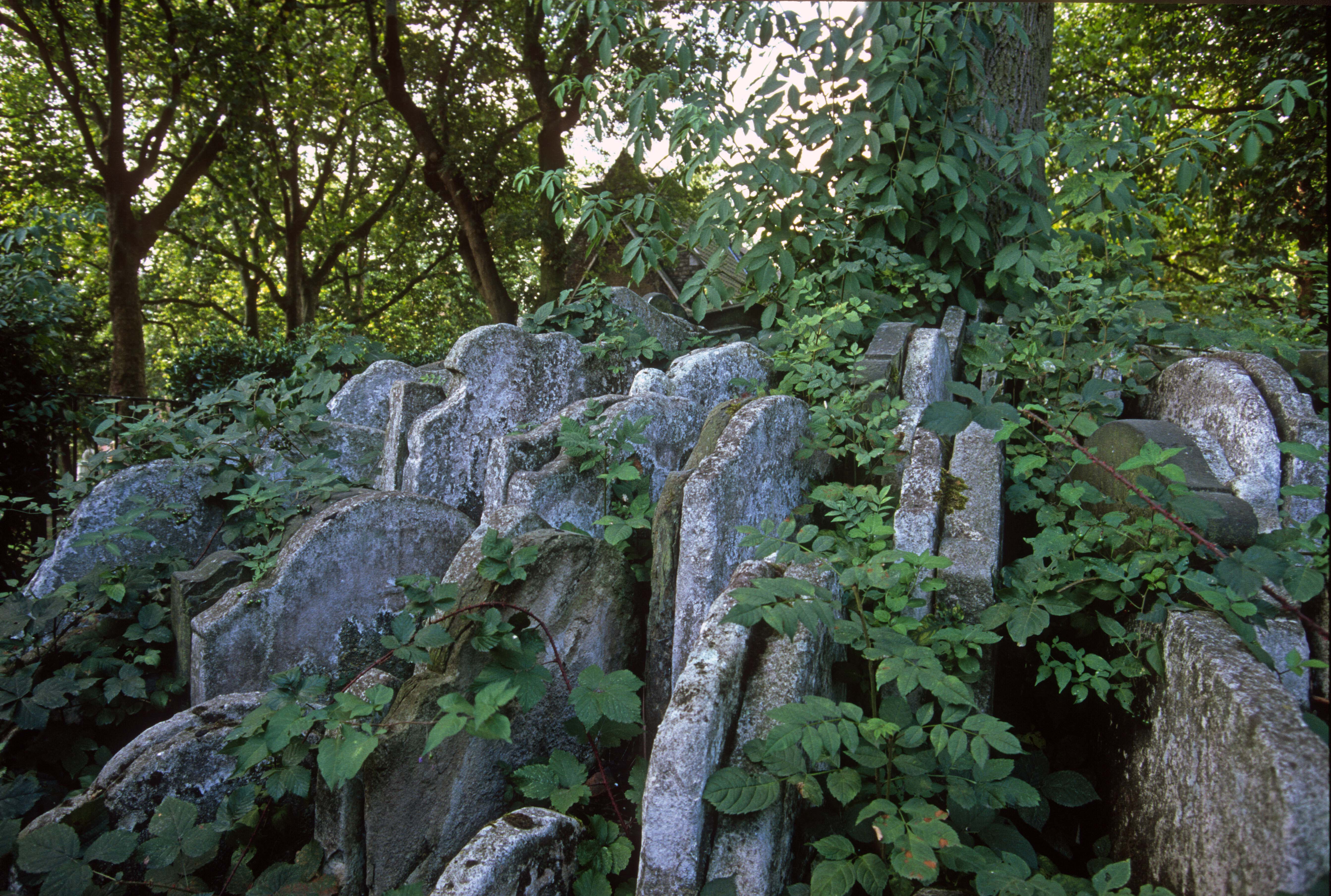T14164. Gravestones stacked around a tree. St Pancras churchyard. London. England