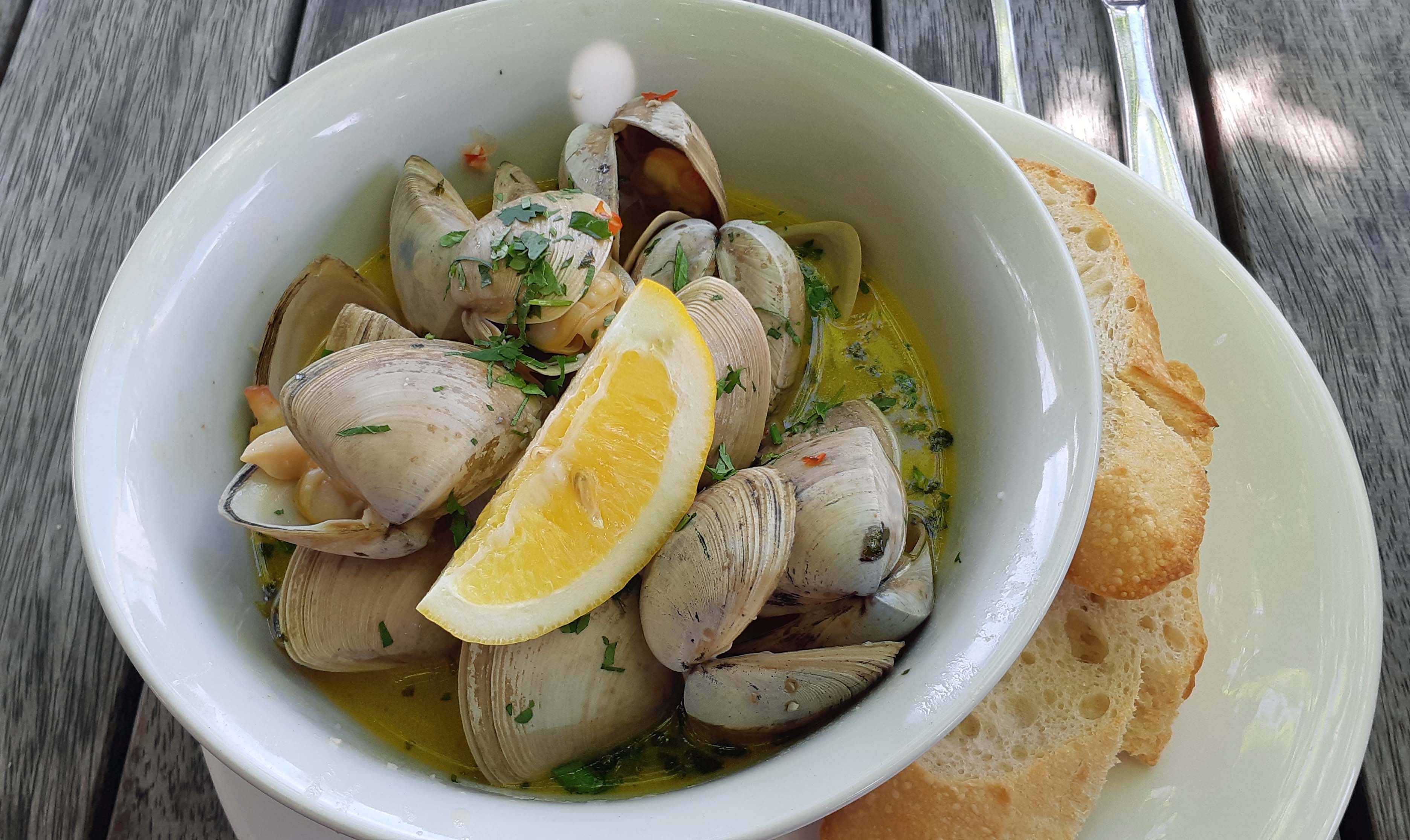clams