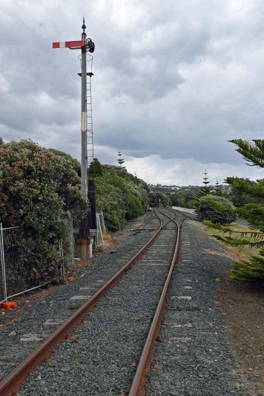 dg315973. grove station. nelson. new zealand. 10.1.19crop