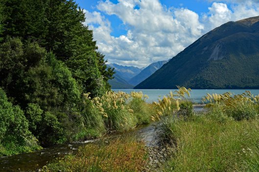 dg315993. lake rotoiti. nelson lakes national park. new zealand. 10.1.19crop