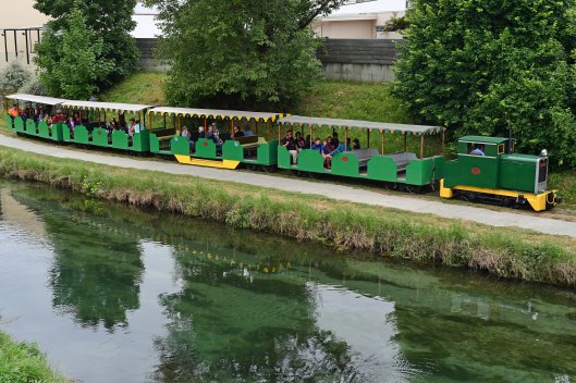 dg316072. brrs no 1. blenheim. new zealand. 12.1.19crop