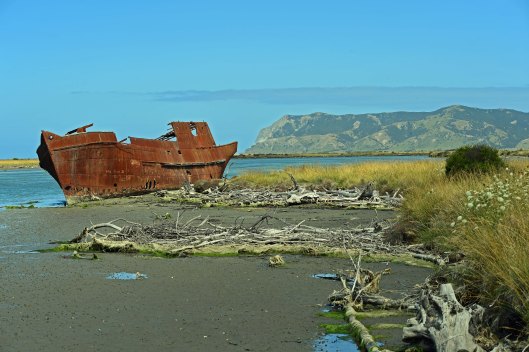 dg316123. wreck of the t. s. s. waverley. wairau lagoons walkway. blenheim. new zealand. 12.1.19crop