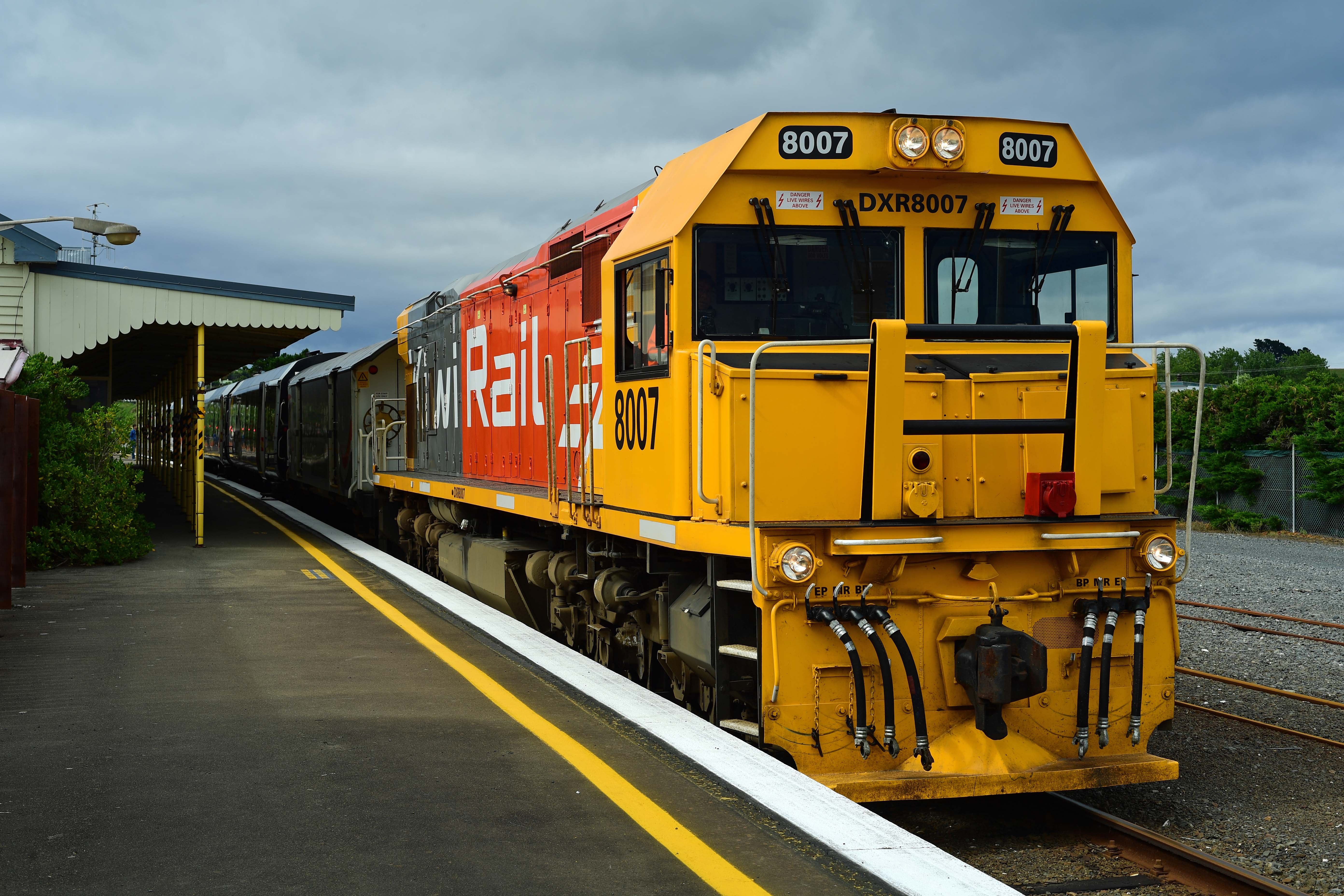 dg316241. 8007. kaikoura. new zealand. 14.1.19crop