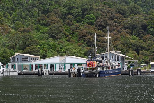 dg317667. milford sound. south island. new zealand. 23.1.19crop