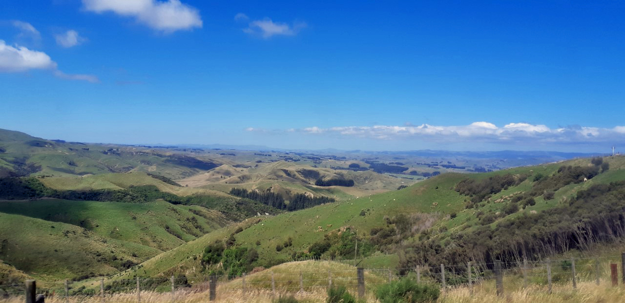 thumbnail_20190106_155647