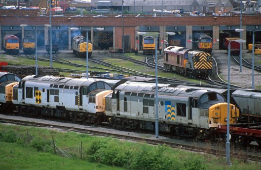 06565. 37139. 37359. 60053. 47289. 37380. 60085. 56084. Thornaby. 29.4.97crop