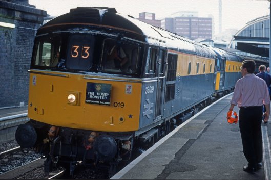 5141. 33019. 33057. The 'Honey Monster' railtour. Paddington. 29.7.95crop