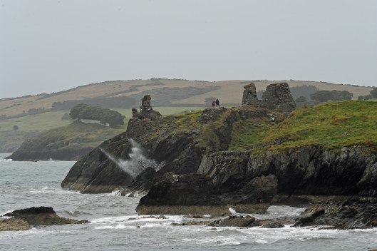 DG330486. Black Castle. Wicklow. Ireland. 9.8.19.