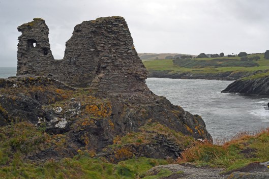 DG330494. Black Castle. Wicklow. Ireland. 9.8.19.