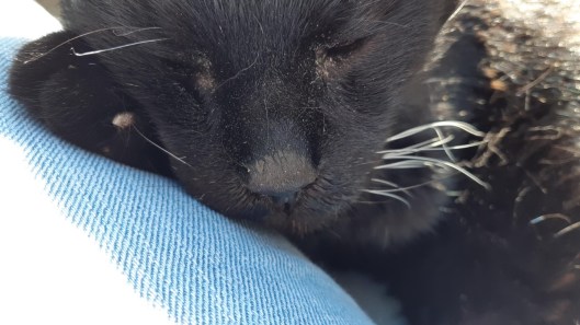 thumbnail_20200525_182229