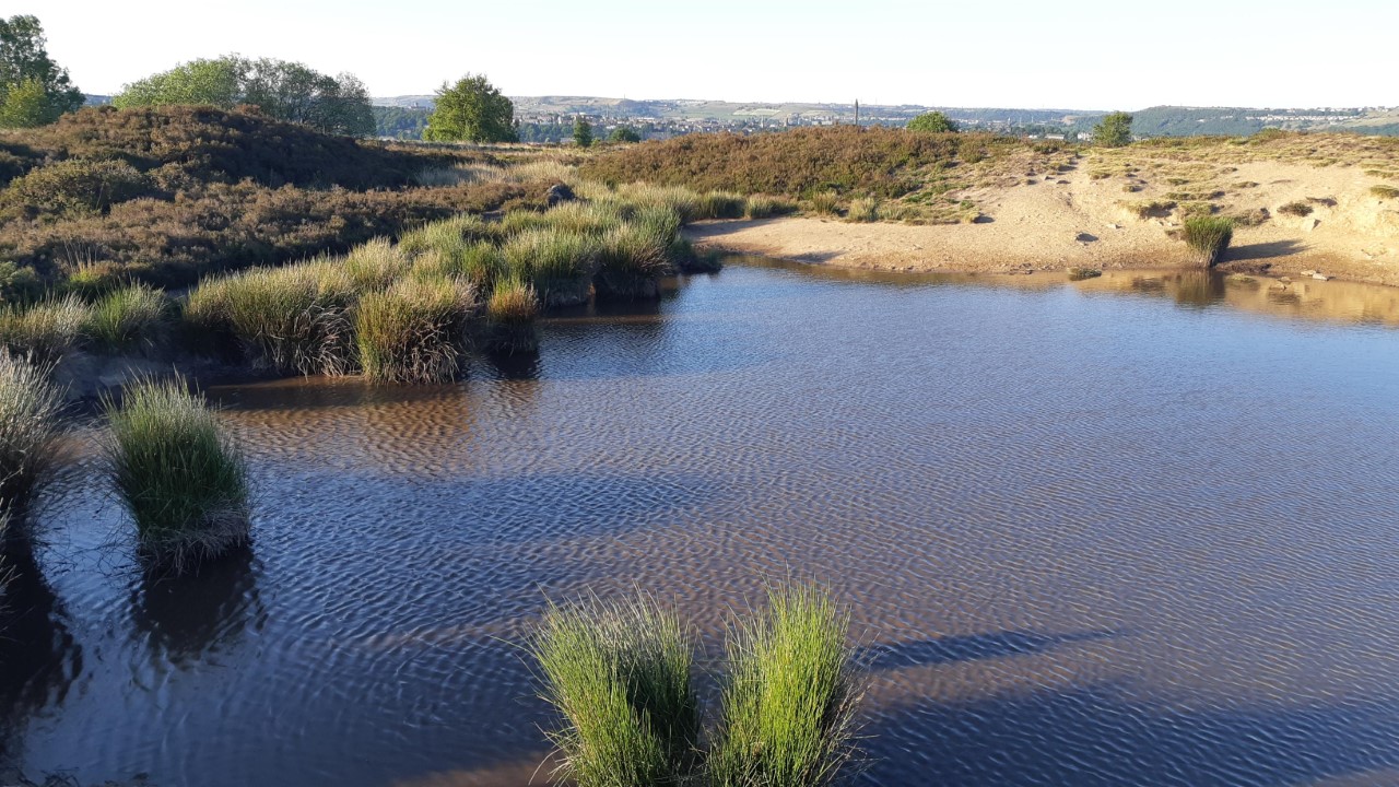 thumbnail_20200531_192833