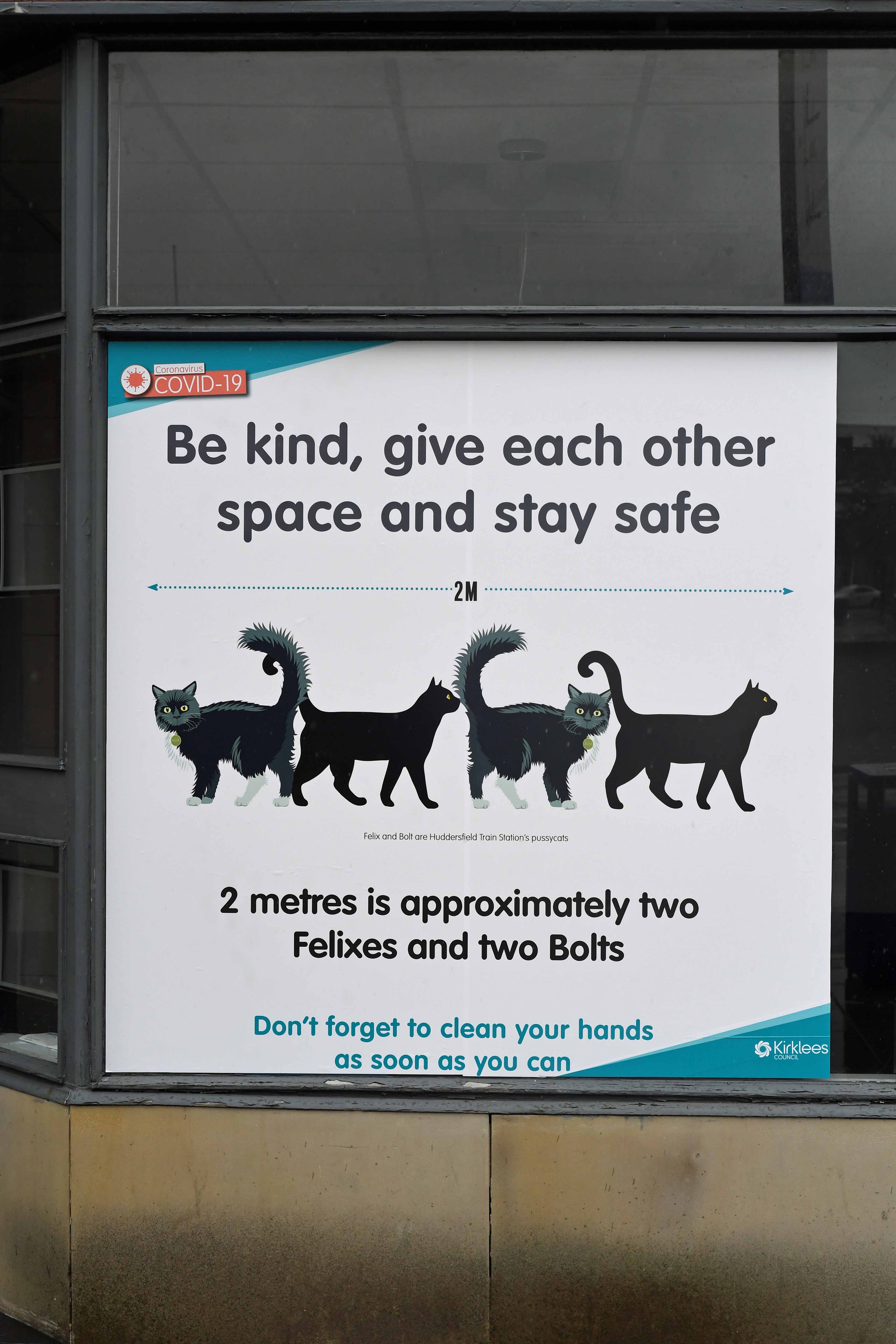 DG342309. Station cats Covid measurements. Huddersfield. 18.6.2020crop