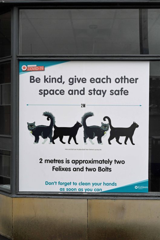 DG342309. Station cats Covid measurements. Huddersfield. 18.6.2020crop