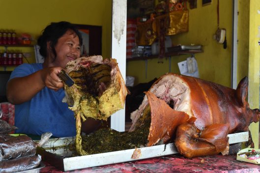 DG264524. Babi Guling. Pejeng. Ubud. Bali. Indonesia. 7.2.17crop