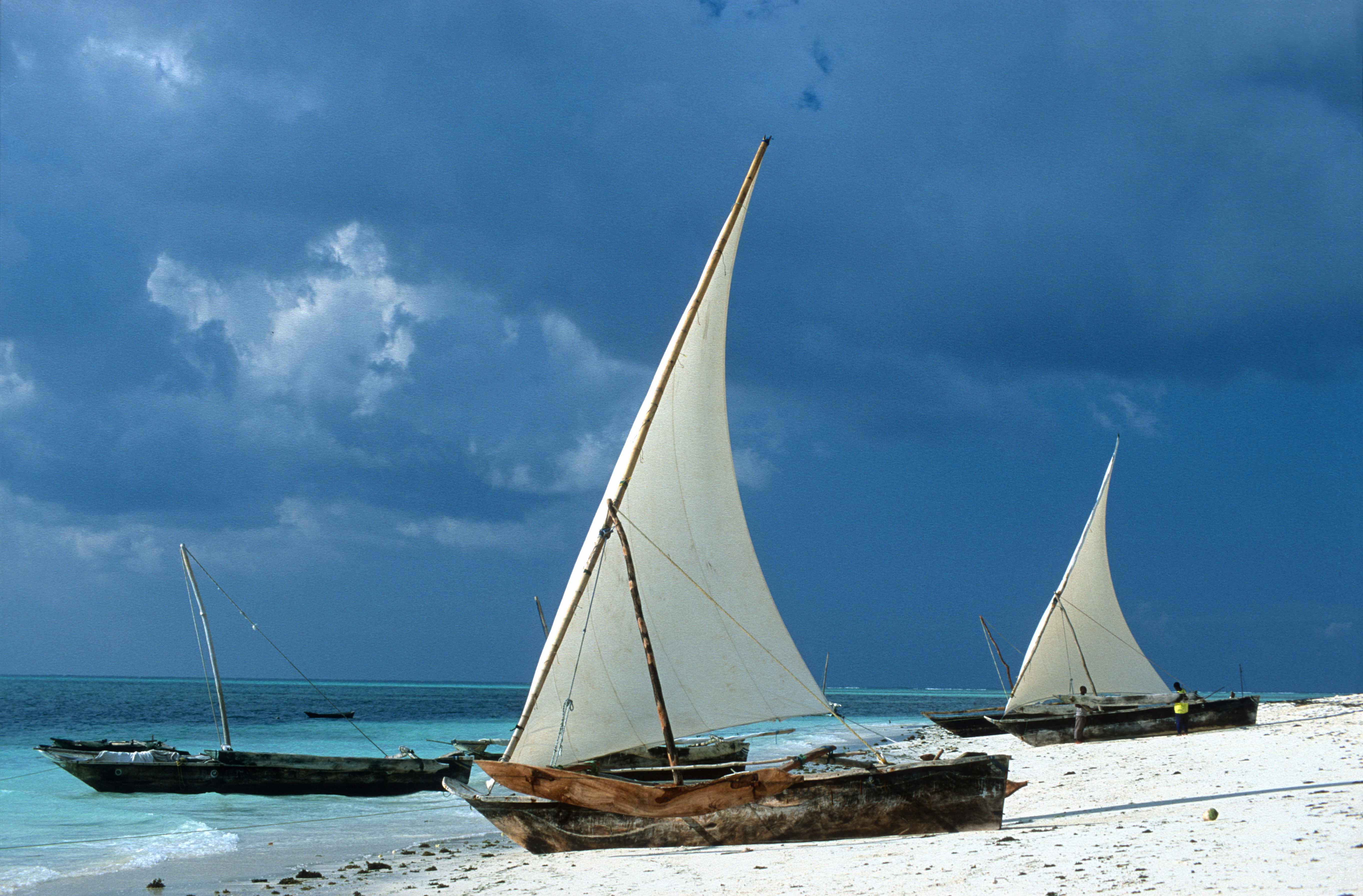 T11229. Dhows on the beach. Nungwi. Zanzibar. Tanzania. Africa. 30.05.01crop